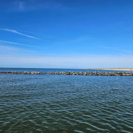7 Person In Ringkøbing