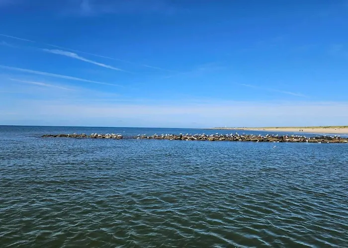 7 Person In Ringkøbing