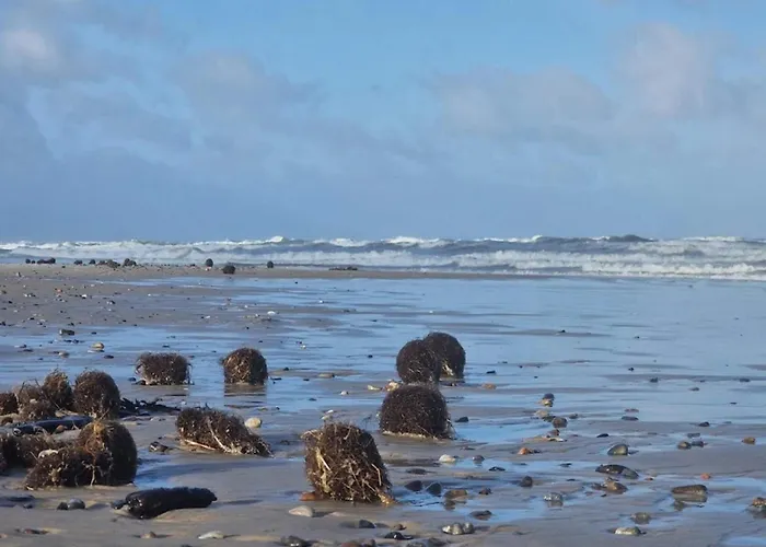 Ferienhaus 7 Person In Ringkøbing